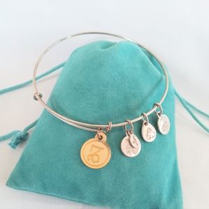 Alex and Ani CAPRICORN Bangle Bracelet